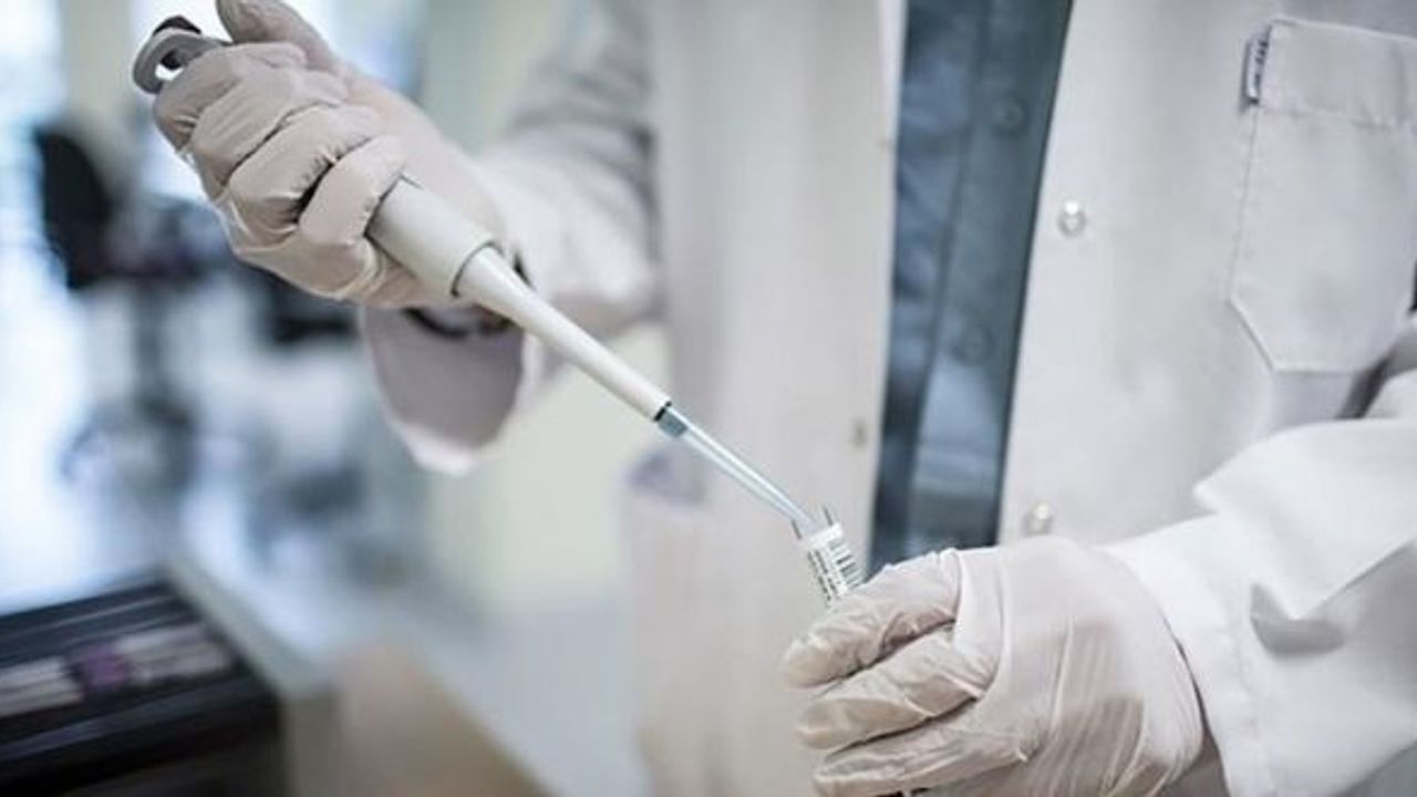 DSÖ: Maymun çiçeği salgınının merkez üssü Avrupa