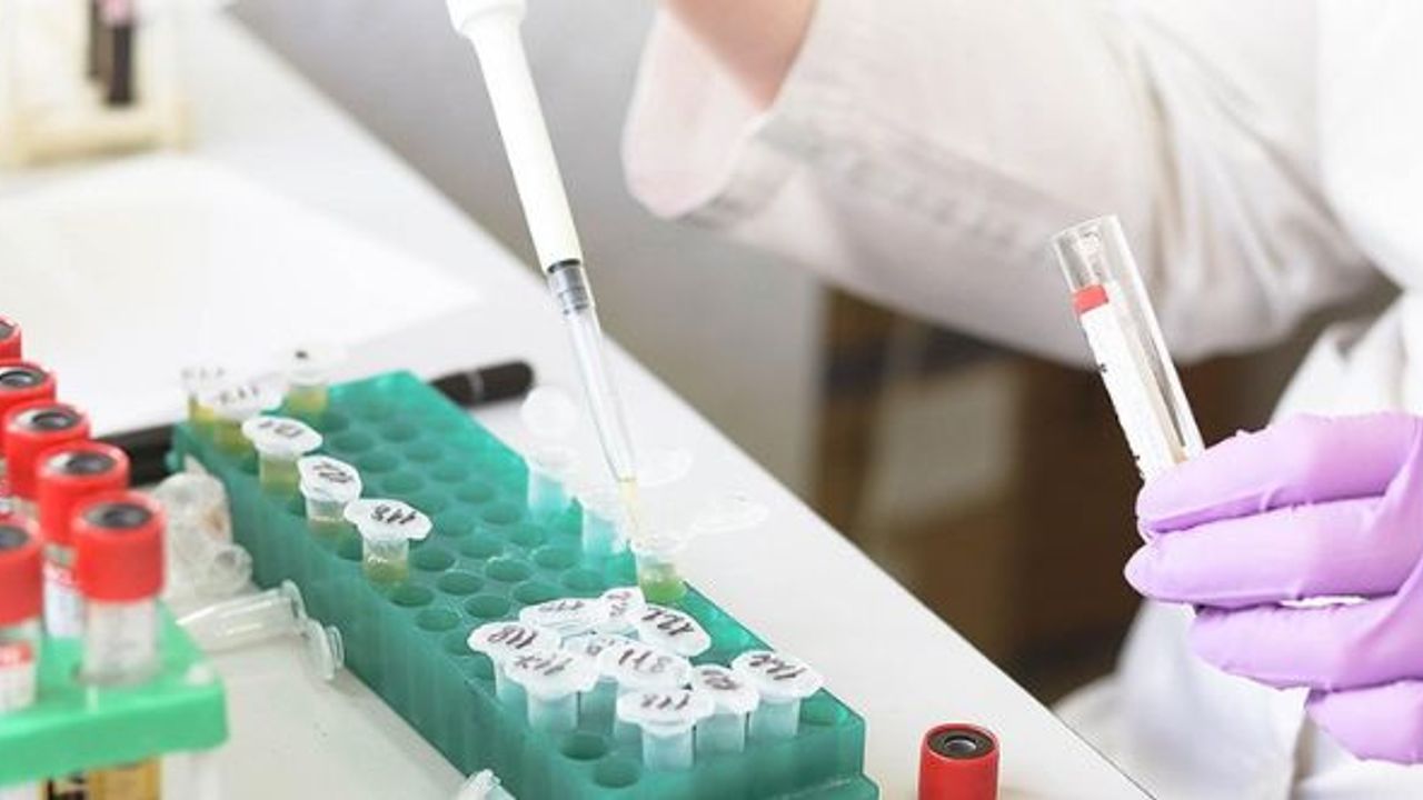 Belçika'da maymun çiçeği artıyor