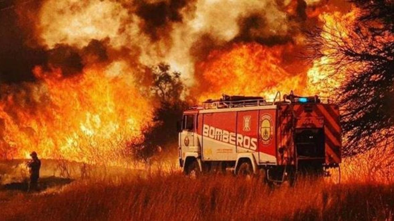 Arjantin'de orman yangınlarına ordu müdahale edecek