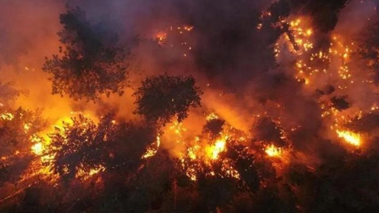 Azerbaycan'da 5 günde 5 bin hektar arazi yandı