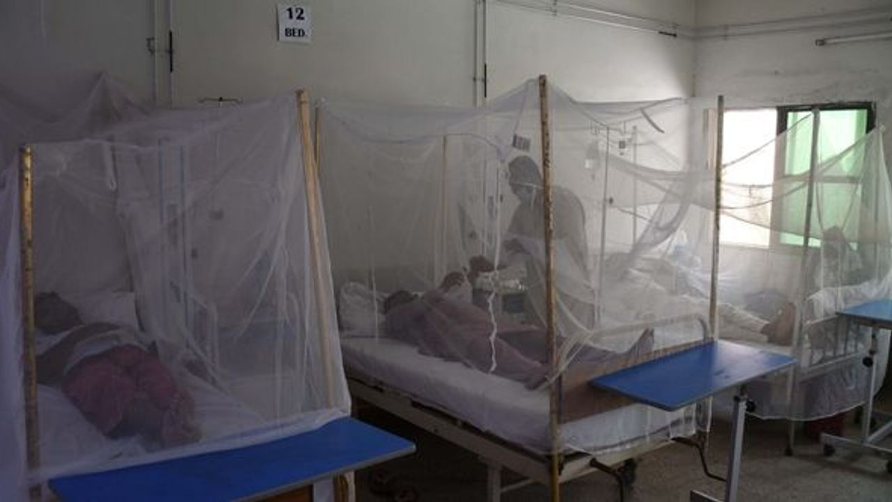 Pakistan'da 1,5 ayda 30 kişi dang hummasından öldü
