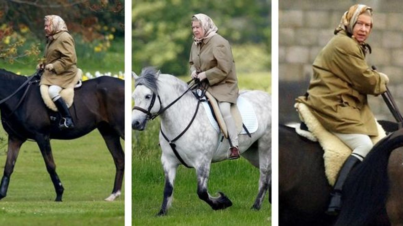 Kralı Charles, Kraliçe 2. Elizabeth'in yarış atlarını satışa çıkarıyor