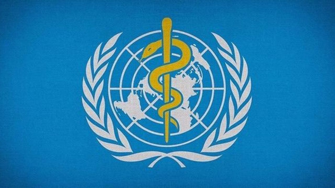 DSÖ Maymun Çiçeği virüsünün adını değiştirme kararı aldı