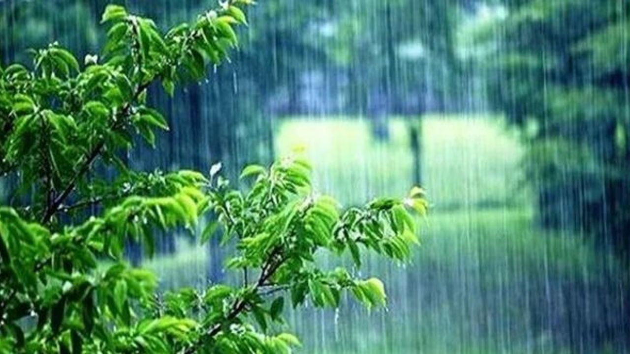 Meteoroloji Nevruz için hava durumu tahminlerini açıkladı