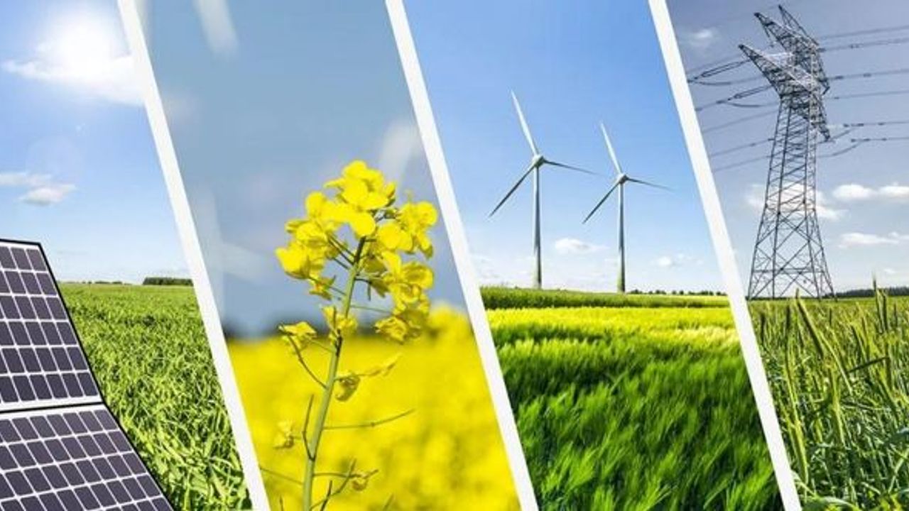 Oxford: Yenilenebilir enerji daha ucuz sermaye maliyeti sağlıyor