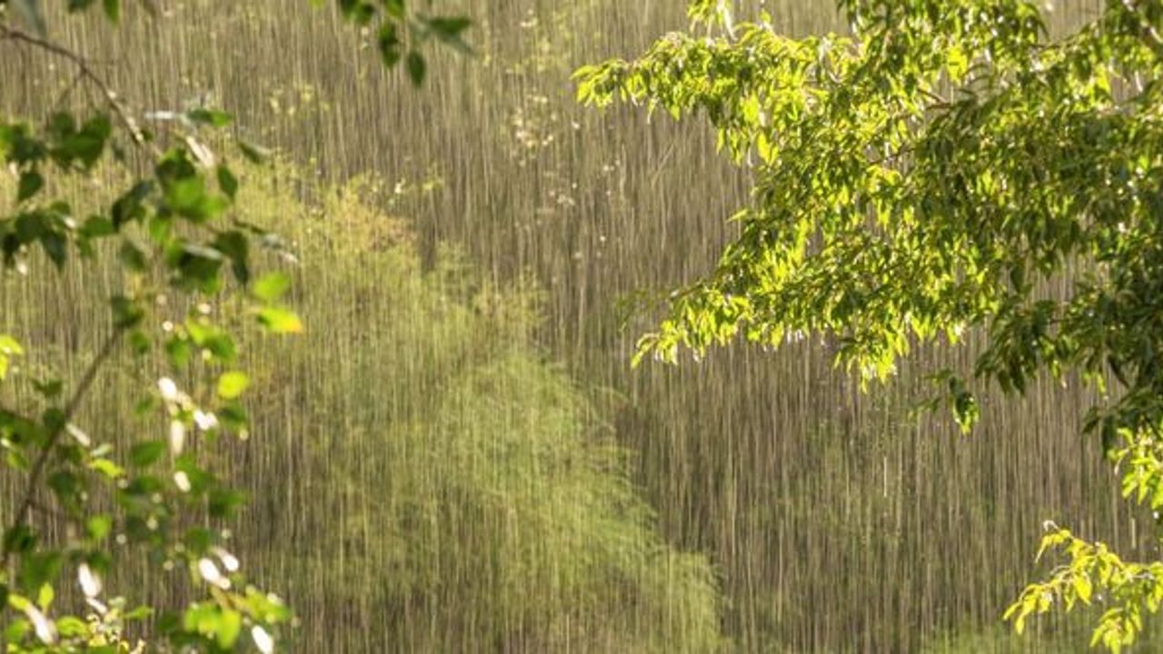 Meteoroloji: Bazı bölgelerde yağmur yağacak