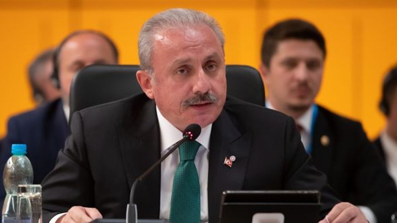 Şentop: Tahıl koridoru anlaşması Türkiye sayesinde devam ettirilmektedir