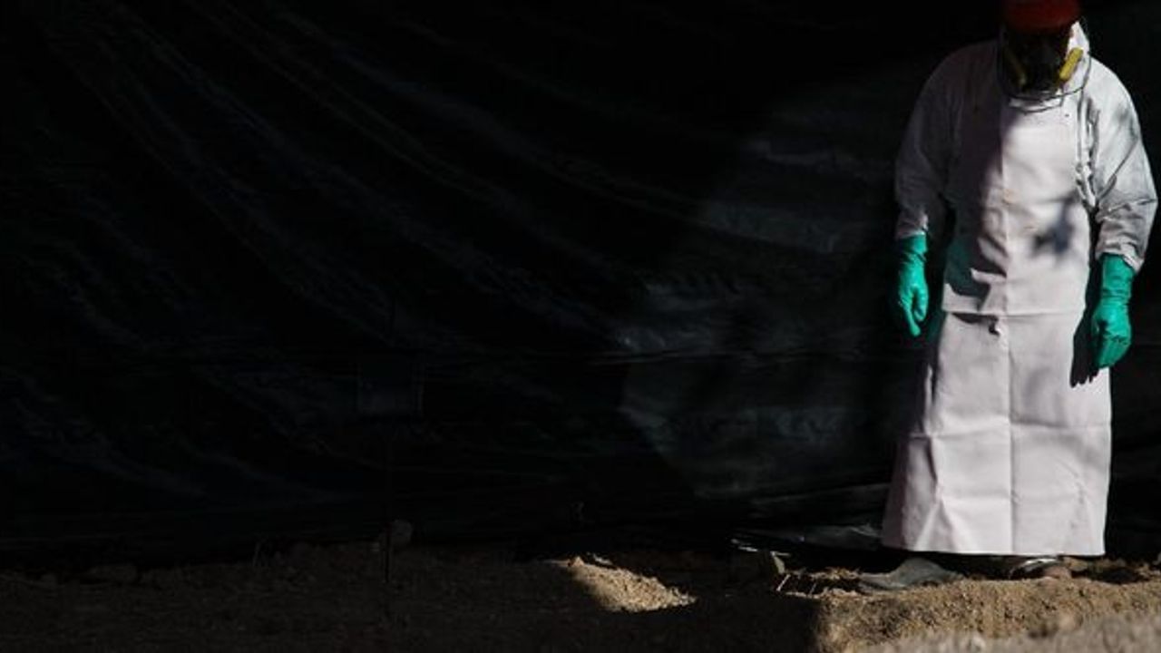 BM: 3 milyon 100 bin kişi cinayetlere kurban gitti