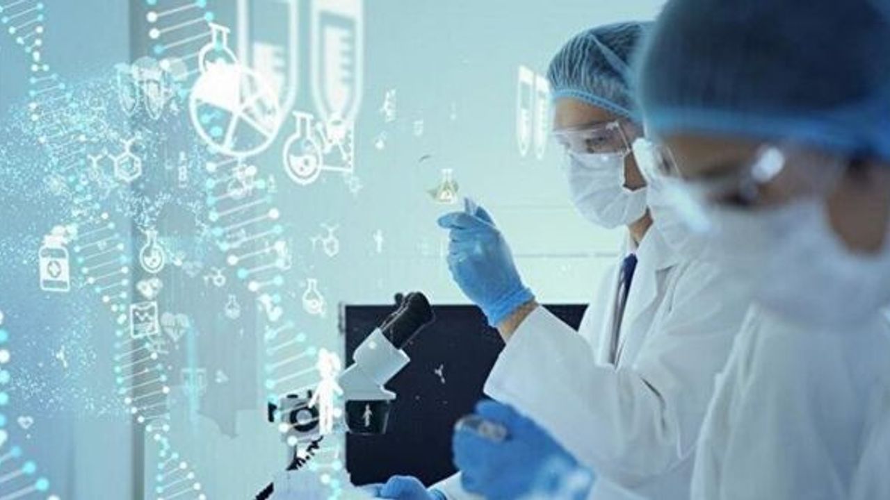 DNA haritası daha fazla insan grubunu kapsayacak şekilde güncellendi