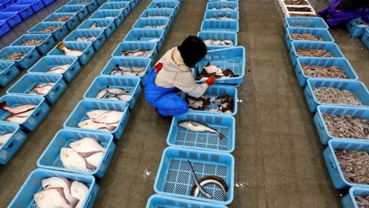 Çin, Japonya'dan tüm deniz ürünlerinin ithalatını durdurdu