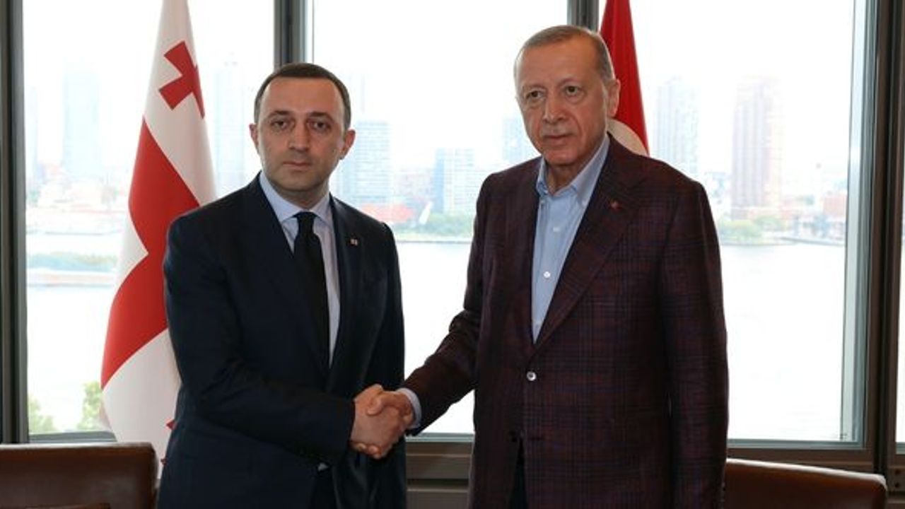 Erdoğan, Gürcistan Başbakanı Garibaşvili ile görüştü