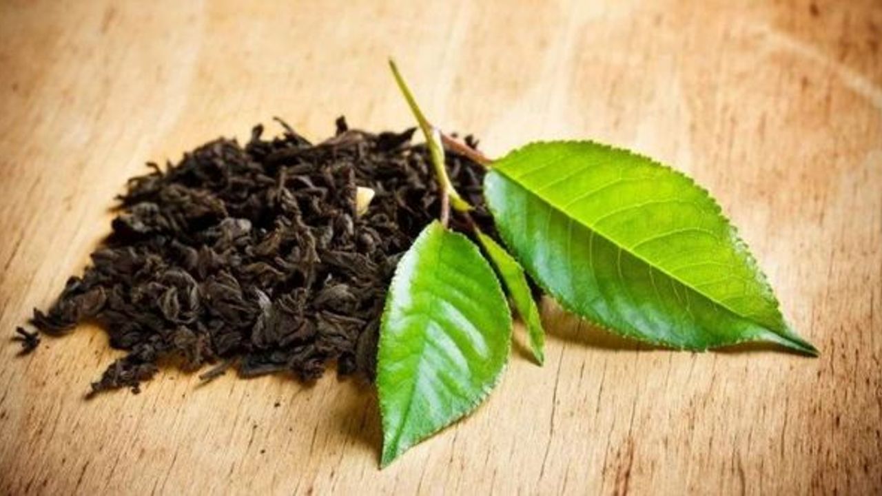 Araştırmaya göre çay, potansiyel bir güneş ışığı koruyucusu