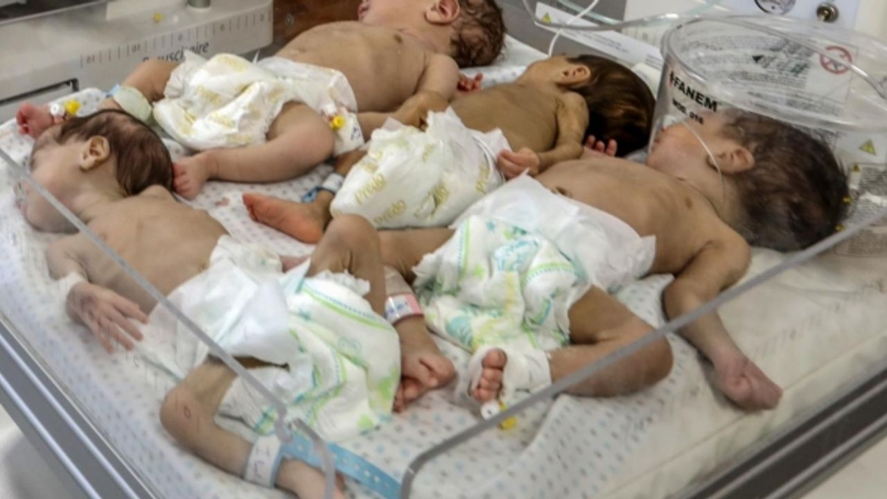 Şifa Hastanesi'nden çıkarılan 28 prematüre bebek Mısır'da tedavi görecek