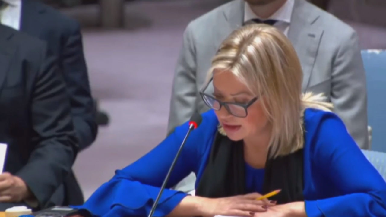 Plasschaert: Seçimlerin tekrar ertelenmesinden endişe duyuyorum