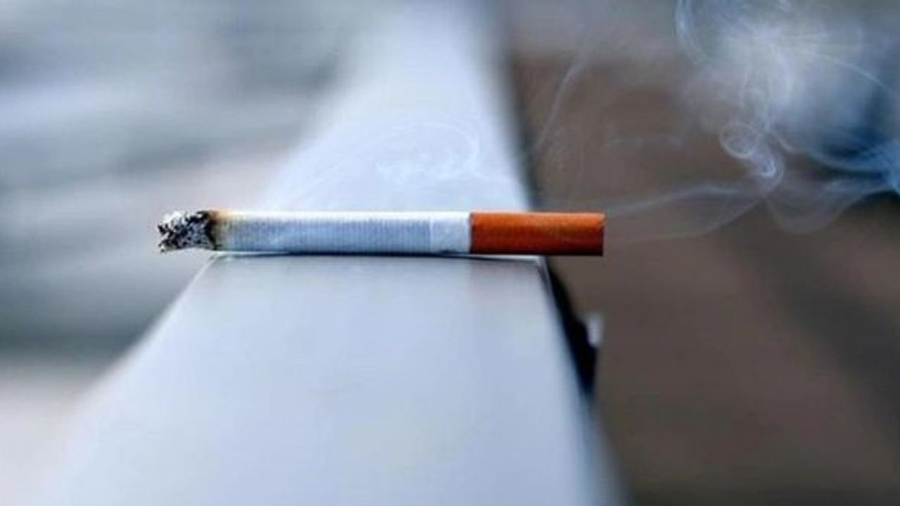 Araştırma: Sigara içenlerde iç organ yağlanması daha fazla olabilir