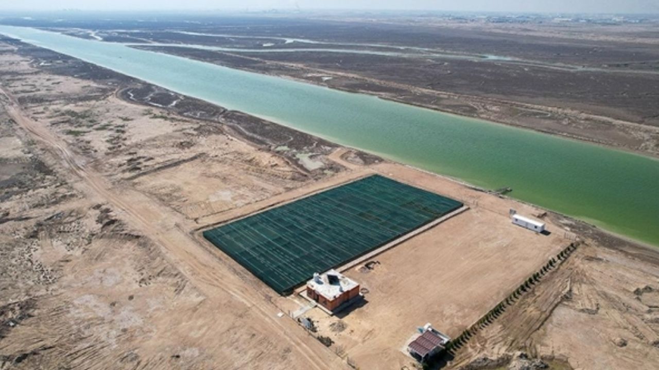 Basra’da küresel ısınma ve iklim değişikliğine karşı "Mangrov Ormanı"