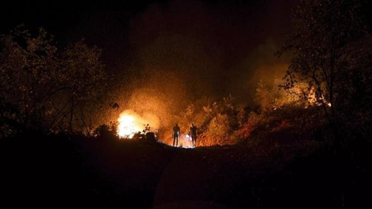 Diyarbakır-Mardin sınırında çıkan yangında ölenlerin sayısı 14'e yükseldi