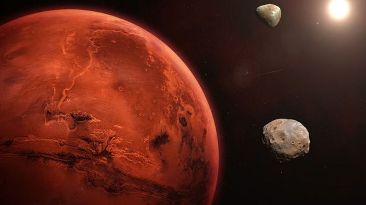 Mars'ta hayatta kalabilecek bir bitki bulundu
