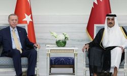 Türkiye'den Erdoğan-Al Sani görüşmesine ilişkin açıklama
