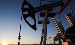 OPEC'in petrol üretimi ocakta azaldı