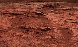 Mars zemininde, örümceğe benzeyen madde toplulukları gözlemlendi