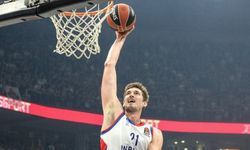 Anadolu Efes’ten Pleiss'a veda