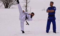 Yeşil sahalardan ringlere uzanan tekvando tutkusu