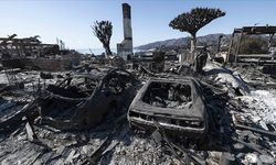 California Valisi, Los Angeles için yardım istedi