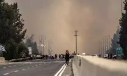 Kudüs ile Tel Aviv arasındaki yangından 12 bin dönüme yakın alan etkilendi
