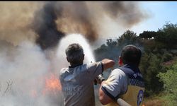 Lazkiye'de orman yangınları sürüyor