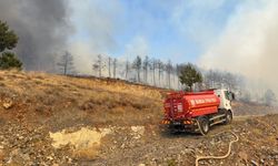 Bursa'da ormanlık alanda çıkan yangına müdahale sürüyor