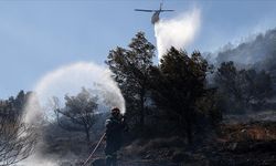 Portekiz ve İspanya orman yangınlarıyla mücadele ediyor