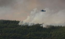 Çanakkale ormanlık alandaki yangına müdahale sürüyor