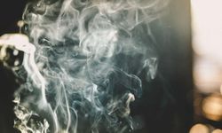 DSÖ: Dünyada her 5 yetişkinden 1'i tütün bağımlısı