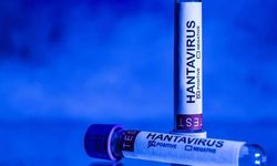 EMA duyurdu: Hantavirüs için onaylı tedavi ve aşı yok