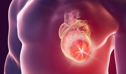 ARAŞTIRMA: İnsan kalbi uzayda bir ay geçirdikten sonra yaşlanma belirtileri gösteriyor