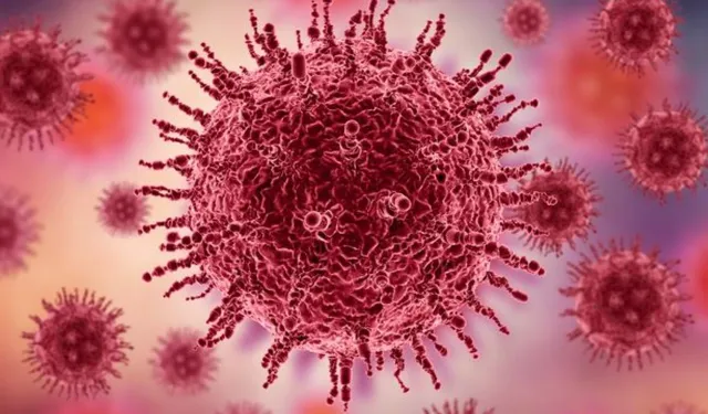 İngiltere'de "norovirüs" vakalarındaki artış