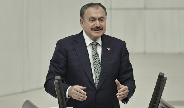 Veysel Eroğlu, Irak Özel Temsilcisi olarak görevlendirildi
