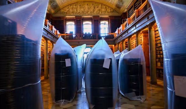 Kütüphaneyi böcekler Bastı-100 bin kitap tehlikede