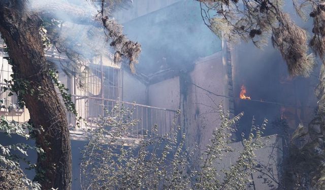 Çanakkale'de orman yangını