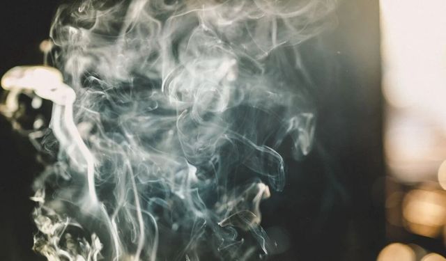 DSÖ: Dünyada her 5 yetişkinden 1'i tütün bağımlısı