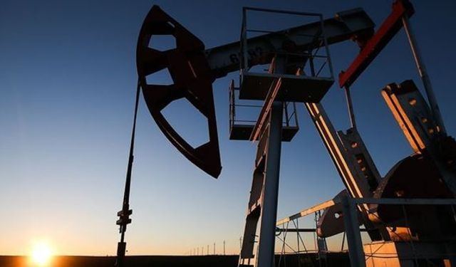OPEC'in günlük ham petrol üretimi ocakta azaldı