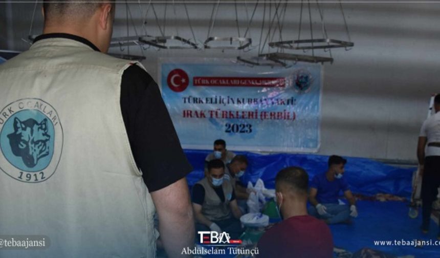Türk Ocakları tarafından Erbil’de Kurban Bayramı dolayısıyla ihtiyaç sahiplerine dağıtılmak üzere 7 büyükbaş hayvan vekaleten kesildi.