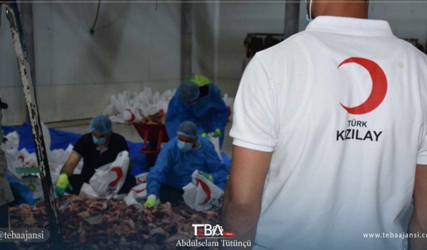 Türk Kızılay, Erbil’de ihtiyaç sahiplerine dağıtılmak üzere Kurban Bayramı dolayısıyla 50 büyükbaş kurbanlık hayvan kesimi gerçekleştirdi.