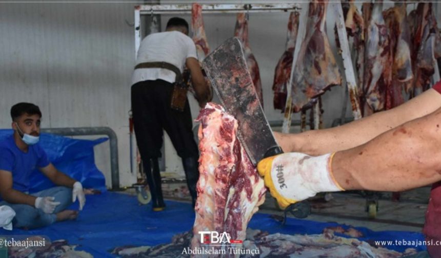 Türk Ocakları Erbil Temsilcisi Şahin Maruf, kurban kesimine ilişkin TEBA&#039;ya yaptığı açıklamada, &quot;Öncelikle tüm Müslümanların Kurban Bayramı&#039;nı kutluyorum. Türk Ocakları olarak Kurban Bayramı vesilesiyle yedi büyükbaş hayvanın kesimini gerçekleştirdik. Türk Ocakları, sadece Erbil’de değil Kerkük ve Telafer’de de kurban kesimlerini yapmaktadır” dedi.