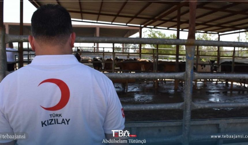 Atik, bu yıl 50 büyükbaş hayvan ve 350 hisseyle, Türkiye&#039;den bağışçıların bağışlarıyla hayvanların kesimini yaptıklarını ifade etti.