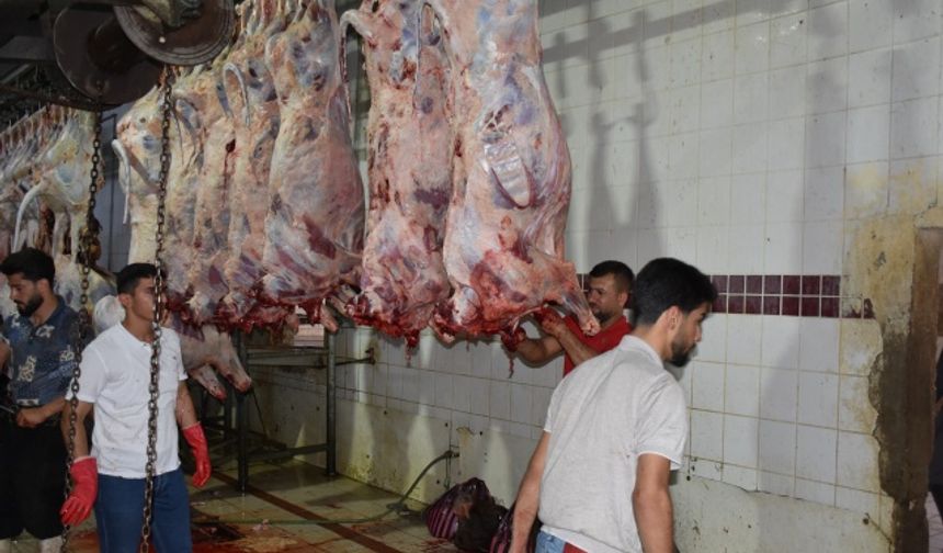 Maruf, &quot;Kurban etleri, Erbil ve Türkmen bölgelerinde bulunan ihtiyaç sahiplerine ulaştırılacak.&quot; ifadesini kullandı.