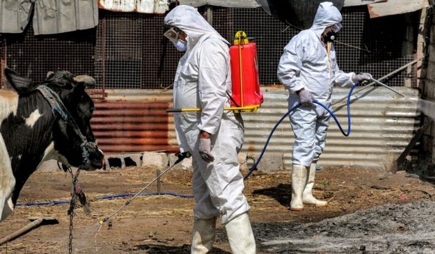 Zaho'da Hemorajik ateş vakası görüldü