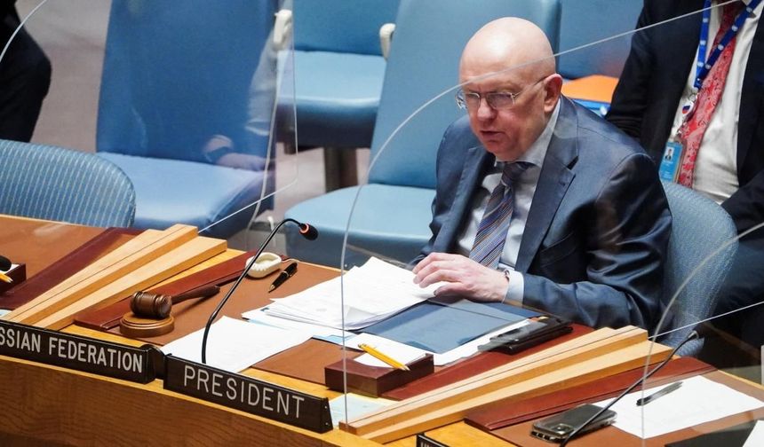 Rusya'nın BM Temsilcisi: Irak dış müdahale olmadan modern bir devlet haline geldi