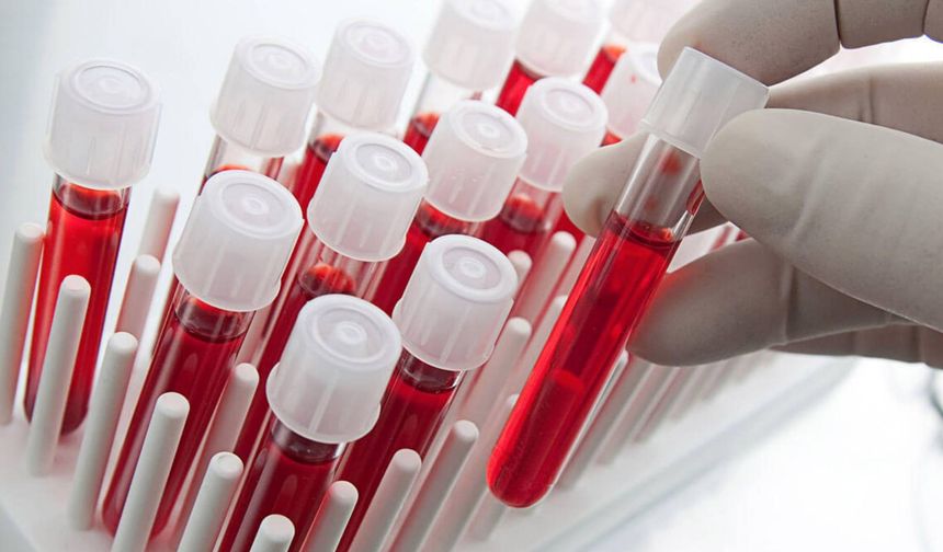 Hindistan’da Yeni Kan Grubu keşfedildi: “CRIB”